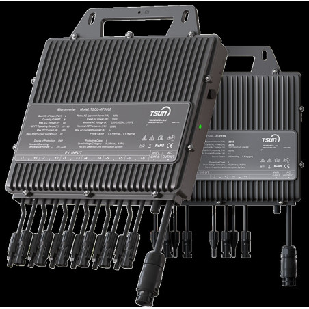 Micro Inverter 3000W